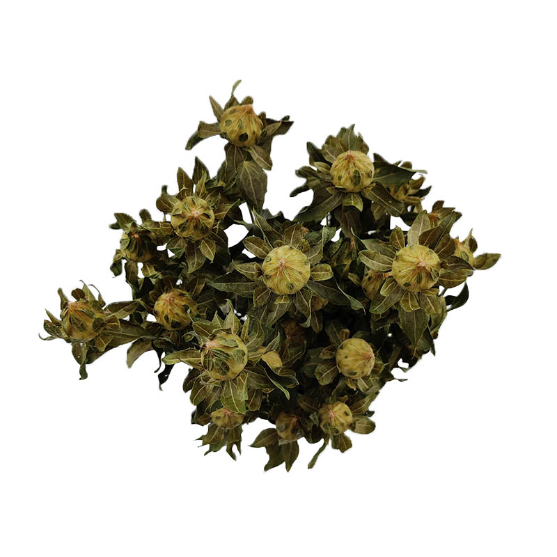 Carthamus sem flor - Image 2