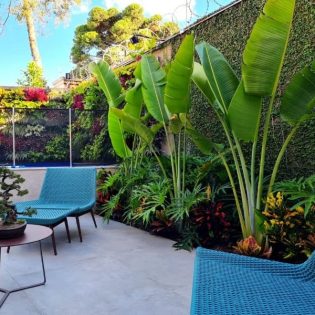 Especial Jardins