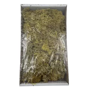 Musgo AMARELO 400grs