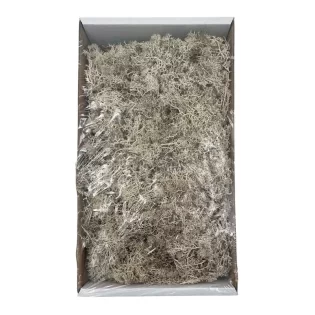 Musgo NATURAL 400grs