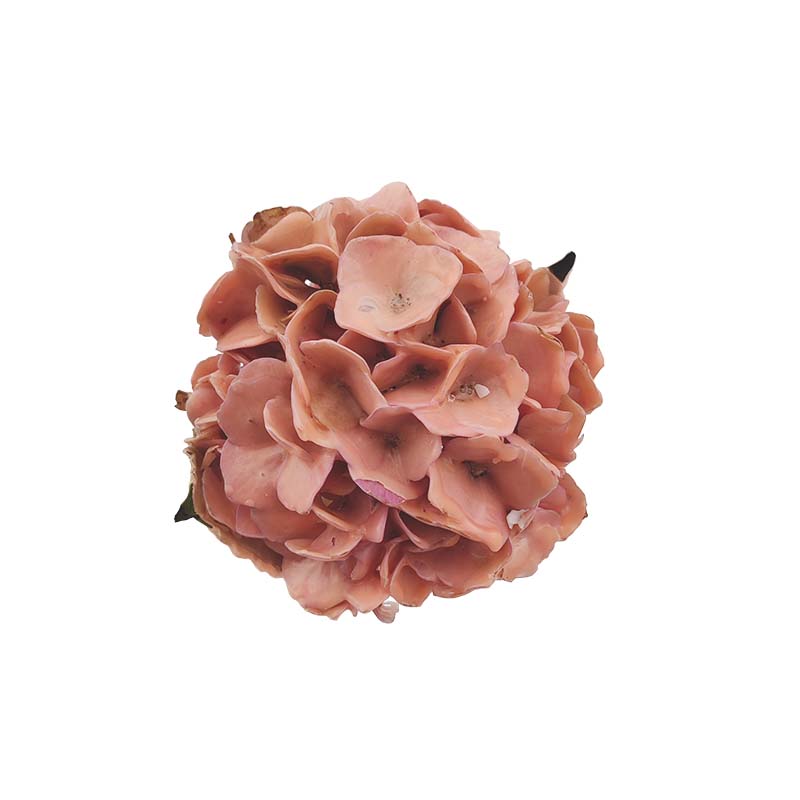 3610_7 hortense-de-cera-florisul