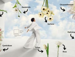 cor-do-ano-2026-florisul