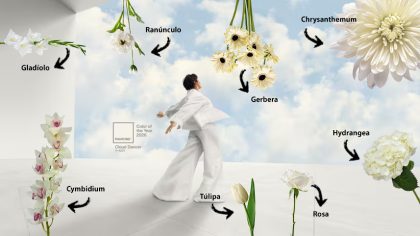 cor-do-ano-2026-florisul