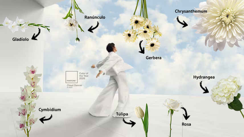 cor-do-ano-2026-florisul