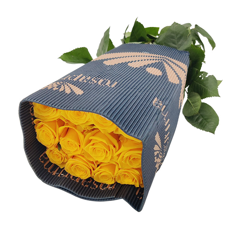 0305_1 rosa-equador-flores-de-corte