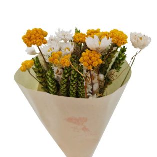 bouquet-de-flores-secas-florisul