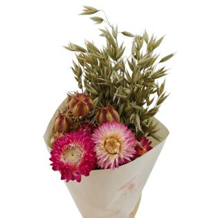 bouquet-de-flores-secas-florisul